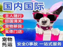 福州长乐机场物流国际宠物托运 【国
